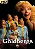 Los Goldberg Temporada 7 [720p]